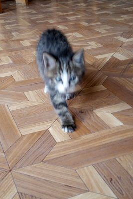 20160614_135752